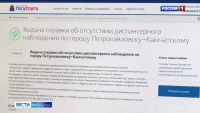 Теперь получить медицинскую справку из психдиспансера можно дистанционно