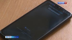 За 10 месяцев в регионе совершено более 900 хищений денежных средств