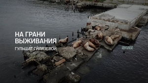 На грани выживания