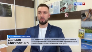 Сезон охоты на медведей