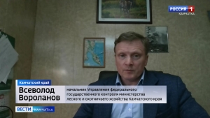 Угроза медведей в Соболево