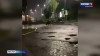 На Камчатке медведь решил совершить ночную прогулку прямо по проезжей части