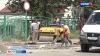 Ход работ по благоустройству микрорайона Мишенный-3 проконтролировали депутаты