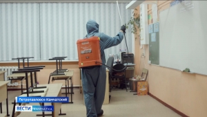В образовательных учреждениях города проводится регулярная дезинфекция