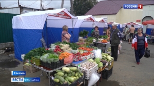 Где и по какой цене можно купить свежие овощи и ягоды, выращенные на Камчатке?