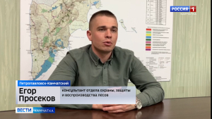 Учения по тушению лесных пожаров