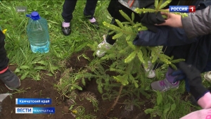 Жителей полуострова приглашают принять участие в акции "Сад памяти"