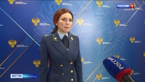 На автотрассе Елизово-Мильково произошло смертельное ДТП