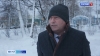 Показатель по лесовосстановлению в крае перевыполнен