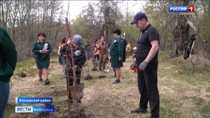 Акция "Сад памяти" прошла в поселке Раздольный Елизовского района