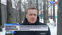 Волка нет