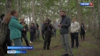 Жители микрорайона Горизонт в Петропавловске не согласны с вырубкой рощи