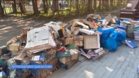 Жители полуострова весь месяц собирали макулатуру