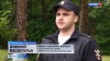 Незаконная вырубка