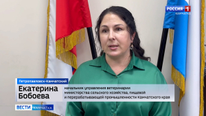 Профорентационный урок