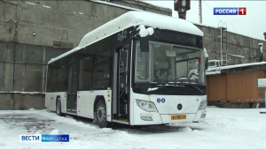 Новые экологически чистые автобусы вышли на дороги краевой столицы