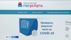 За последнюю неделю 860 камчатцев узнали результаты теста на COVID на портале Госуслуги