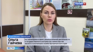 Сезон охоты на зайца