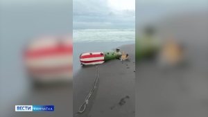 Мина на Халактырском пляже