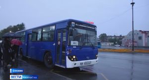 На городские маршруты вышли новые автобусы &laquo;Вместе мы - Камчатка&raquo;.
