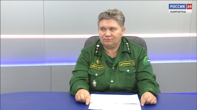 Пикник на природе: какие правила следует соблюдать