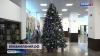На полуострове стартовала акция "Елка желаний"
