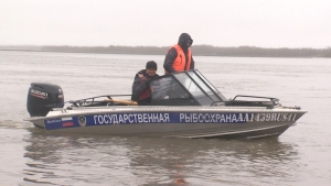 В Усть-Камчатском районе борются с браконьерами