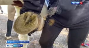 Пришло время практики