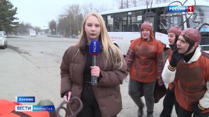"Тараканы" в Елизово