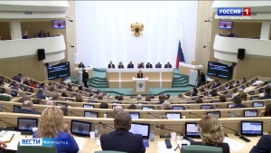 Совет Федерации поддержал проект поправок в кодексы о защите безопасности детей