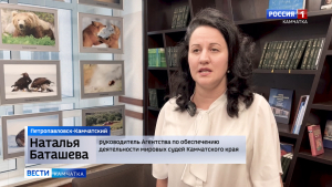 Более 9 300 дел о взыскании налоговой задолженности