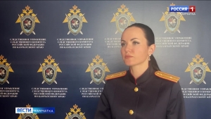 По факту нападения стаи собак на ребенка в Вилючинске СКР возбудит уголовное дело