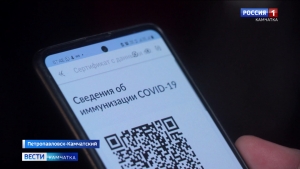 На Камчатке отменяют QR-коды