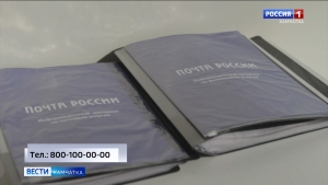 Теперь отправлять посылки в зону специальной военной операции можно бесплатно