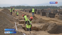 Свежих овощей на столах камчатцев станет больше