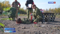 Зарница