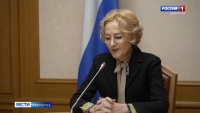 Ирина Яровая провела совещание в режиме ВКС с главой Елизовского района