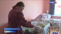 Камчатские акушеры отметили профессиональный праздник