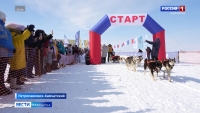 Организаторы гонки на собачьих упряжках "Берингия -2024" объявили набор участников