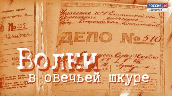 Волки в овечьей шкуре