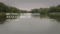 Фестиваль "Сохраним лососей вместе" на Камчатке