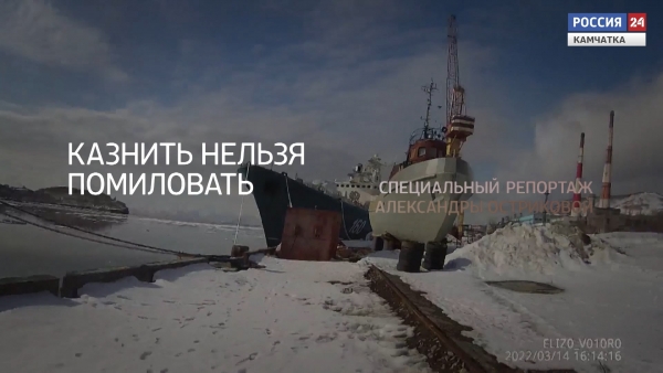 Казнить нельзя помиловать