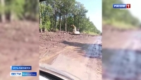Возобновлено движение в Усть-Камчатск