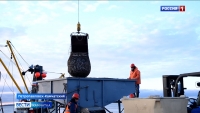 Вопросы распределения участков для промысла рыбы обсудили на Камчатке