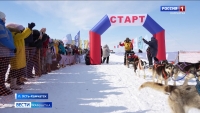 На Камчатке завершилась самая протяженная гонка на собачьих упряжках