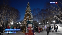 Петропавловск-Камчатский украшают к Новому году