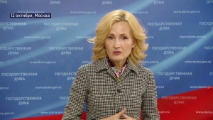Ирина Яровая о деятельности рабочей группы по вопросам развития ДВ и Арктики