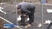 В столице края проведут работы по благоустройству 14 придомовых территорий