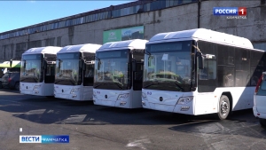 Автопарк Петропавловска получил пять новых автобусов "Лотос"