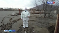 В поселке Ключи продолжается ликвидация мощного извержения вулкана Шивелуч